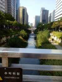 photo 880328