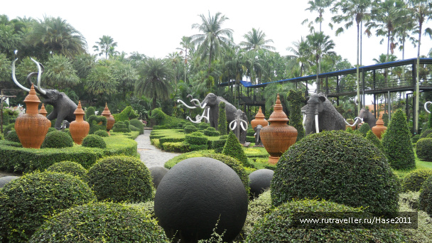photo 294965