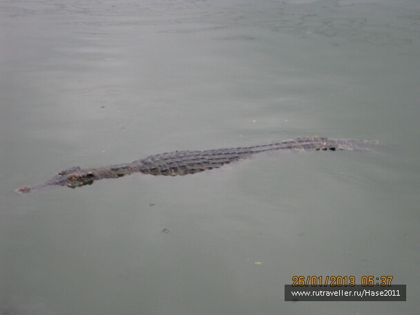photo 294976