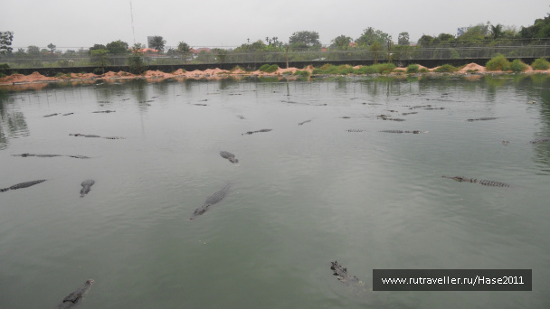 photo 294977