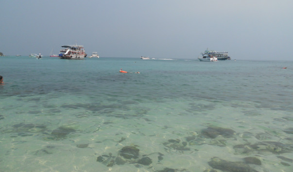 DSCN1811