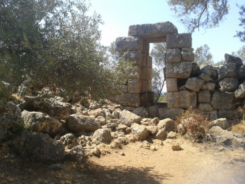 photo 251485