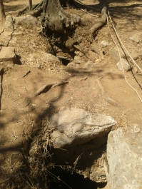 photo 251487