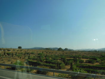photo 463198