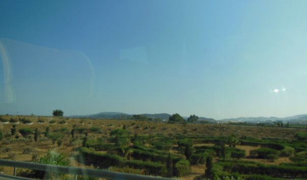 DSCN1633