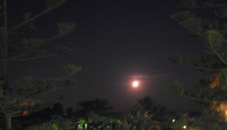 photo 456001