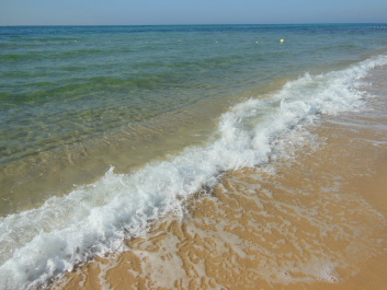 photo 457114