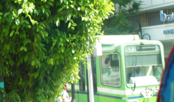 DSCN1408