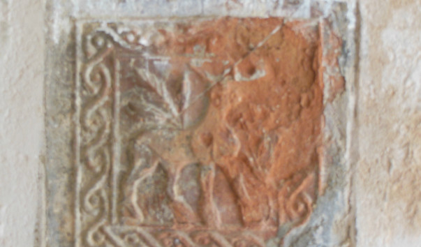 DSCN1456