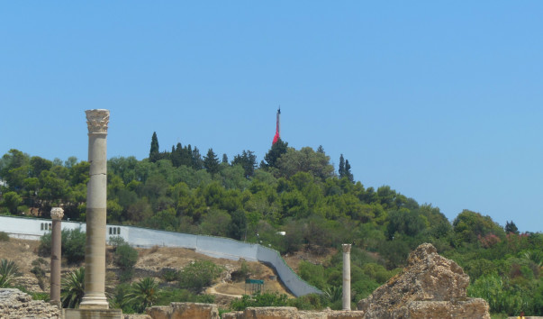 DSCN1496