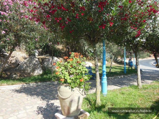 photo 485821