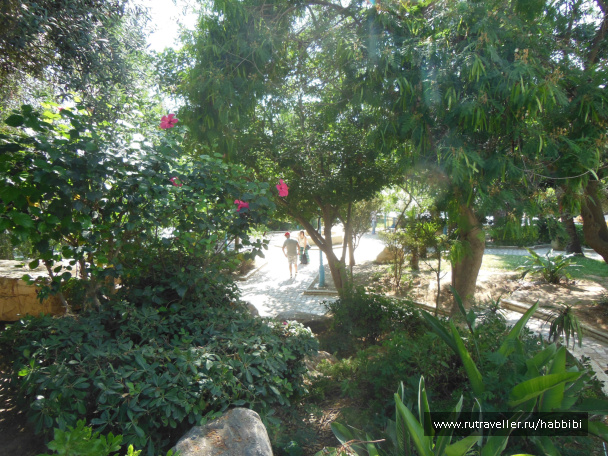photo 485823