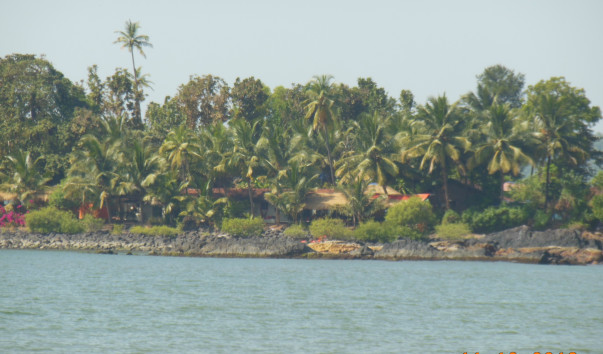 DSCN1958