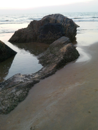 photo 641542
