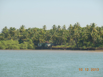 photo 653756