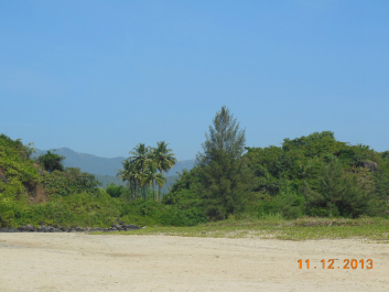 photo 654068