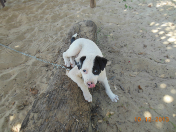 photo 654346