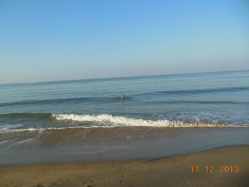 photo 654454