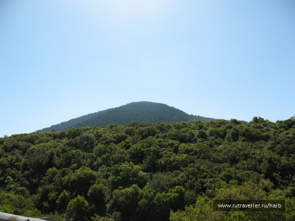 photo 827230