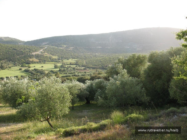 photo 827231