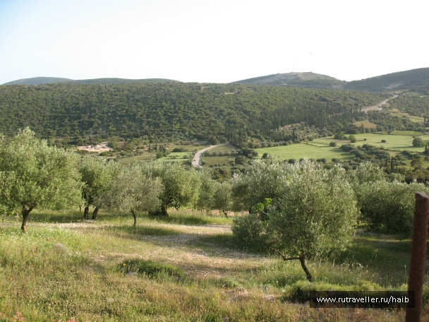 photo 827232