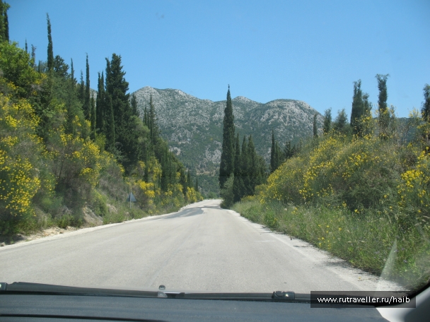 photo 827311