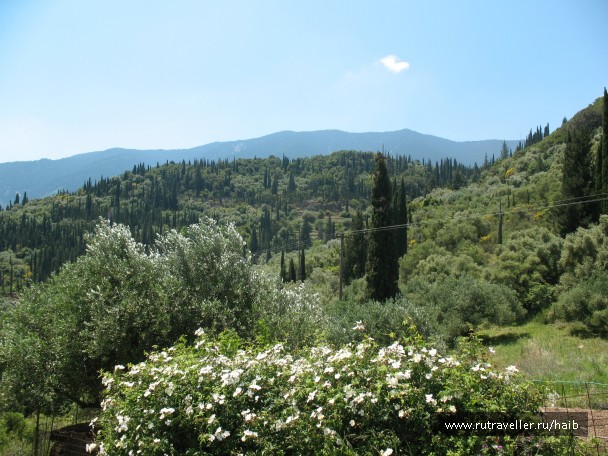 photo 827348