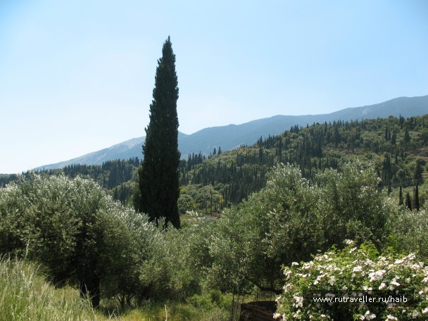 photo 827349