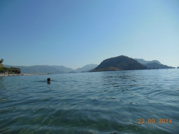 photo 889236