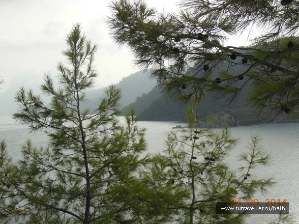 photo 889243