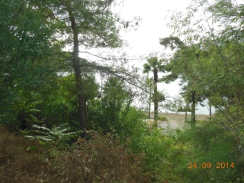 photo 889253