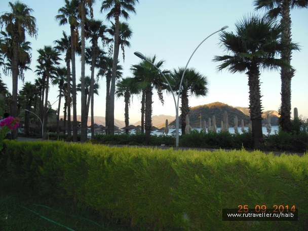 photo 889414