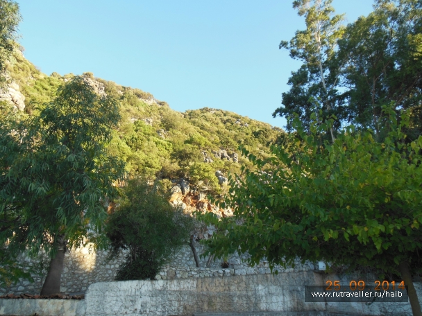 photo 889415