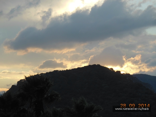 photo 889517
