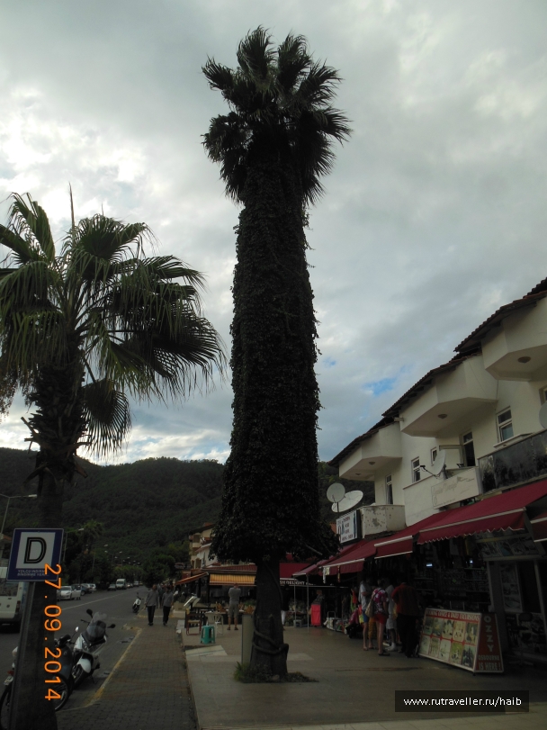 photo 889525