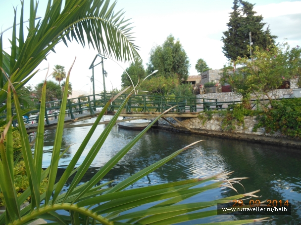 photo 890262