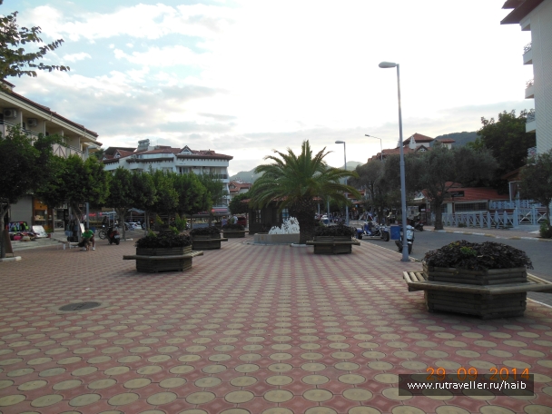 photo 890271