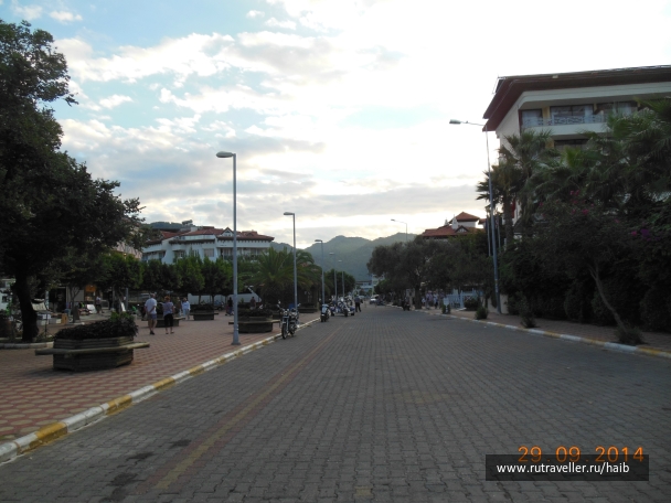 photo 890272