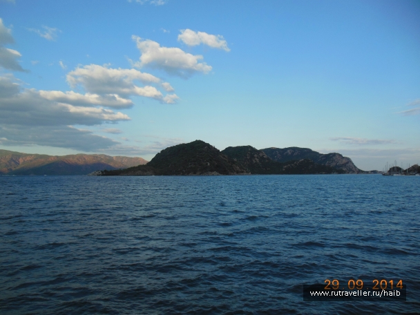 photo 890273