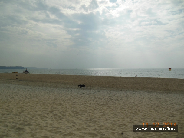 photo 967744