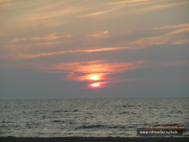 photo 967759