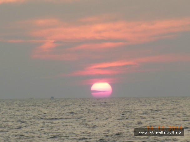 photo 967776