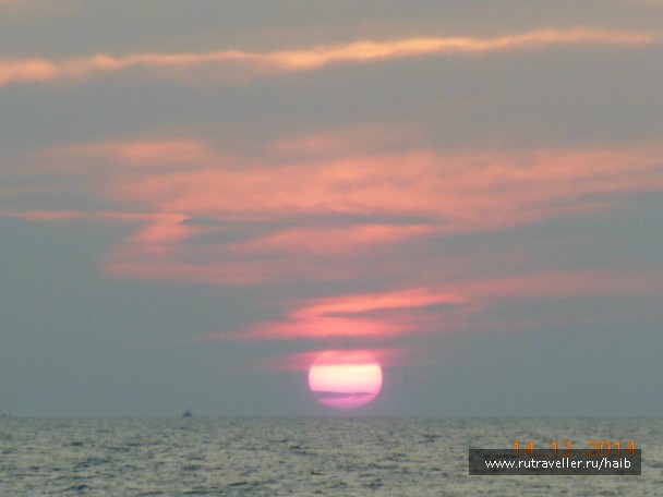 photo 967777