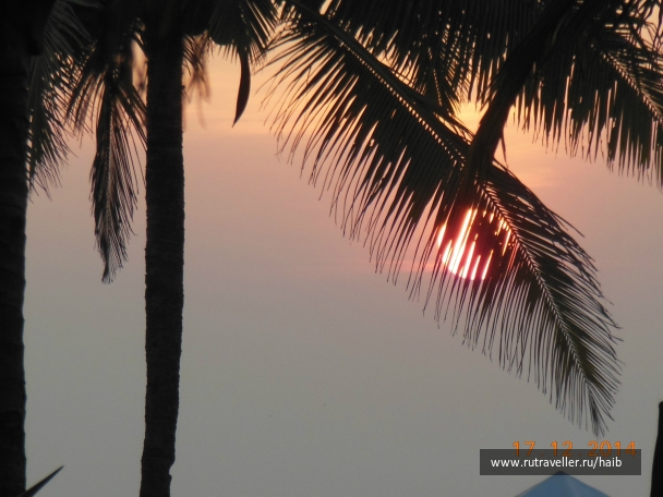 photo 967868