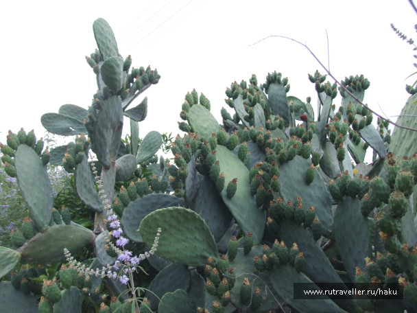 photo 441112