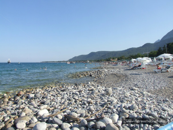 photo 441115