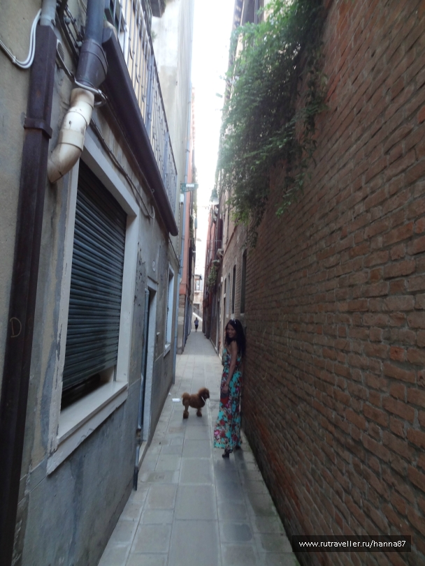 photo 891955