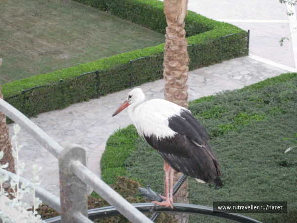 photo 102009