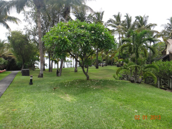 photo 228066