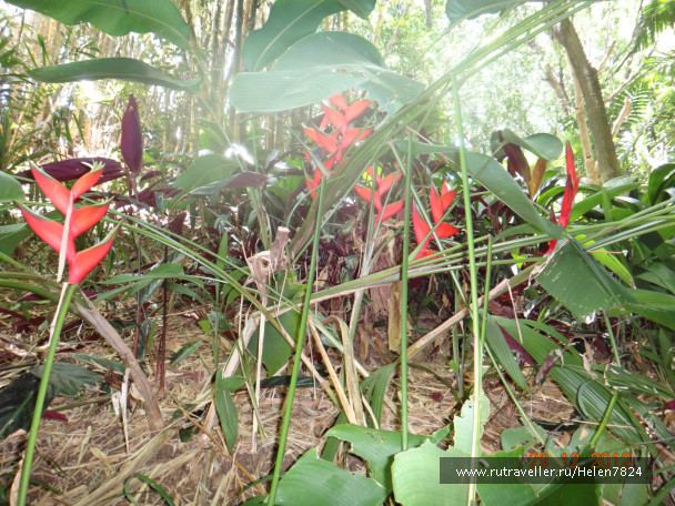 photo 228080
